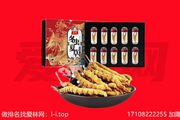 攀枝花市东区回收虫草.jpg